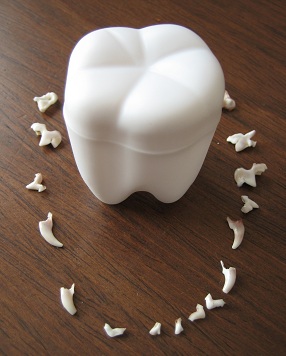 ブログ写真　乳歯.jpg